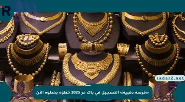 «فرصة ذهبية» التسجيل في باك حر 2025 خطوة بخطوة الآن